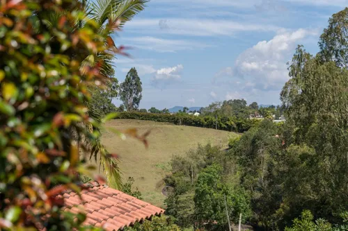 Lote En Venta En Sajonia. Cod V8842
