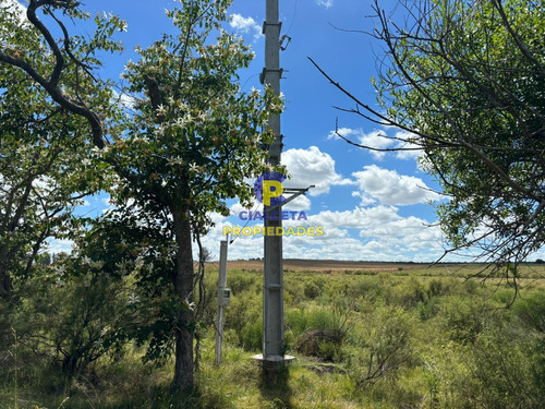 17 Hectáreas Con 8.725 Metros En Lavalleja, Reservada