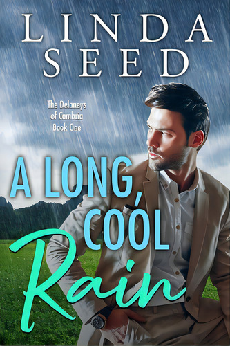 A Long, Cool Rain, De Seed, Linda. Editorial Createspace, Tapa Blanda En Inglés