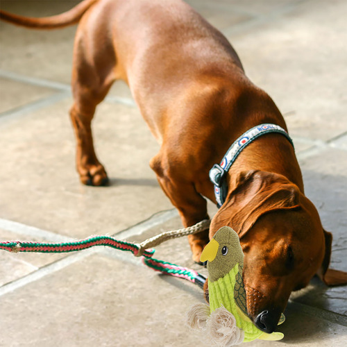 Peluche Para Perros Squeaky Dog Toy Of War Interactive