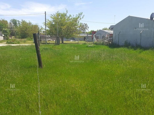 Imagen 5 de 7 de Terreno Lote En Venta Ubicado En San Vicente, San Vicente
