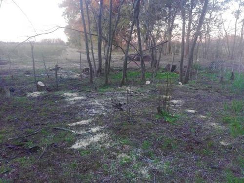 Retasado Chacra 22has Terreno Venta En Pavon Exaltación De La Cruz Pavon