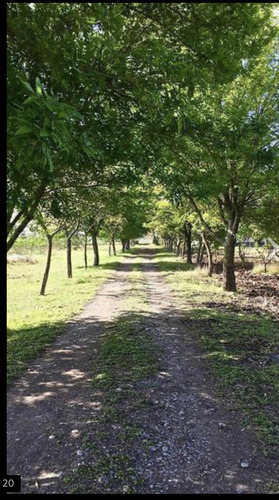 Terreno En Venta En Montemorelos
