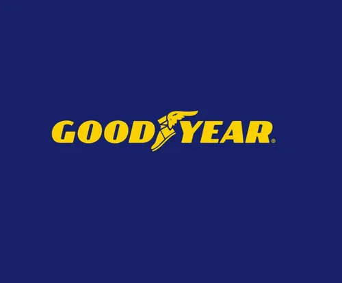 Neumatico Goodyear Wrangler Workhorse255/60 R18 (112t) Xl