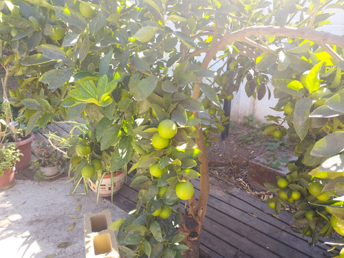 Se Arrienda Acogedora Casa En Olmué 2d,2 Y1/2b