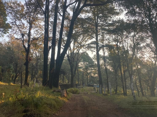 Imagen 2 de 8 de Gran Terreno En Zona Arbolada En Paraje Cuacuametla, Huitzil