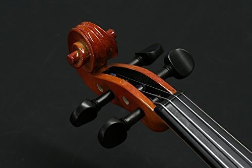 Stentor 1500 34 Violin