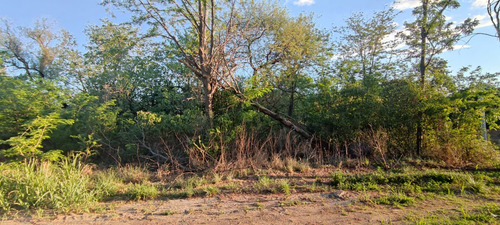 En Venta Terrenos Con Servicios En Merlo San Luis