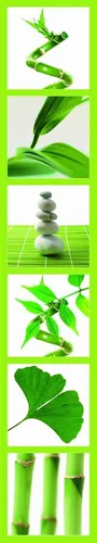 Vinilo Decorativo Pared [08val8ei] Bambu Ginkgo Piedras