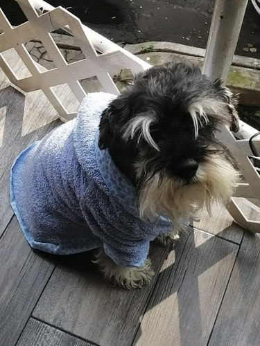 Imagen 5 de 9 de Bata De Baño Con Gorro Para Perro T4 Varios Colores Dogmania