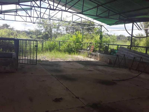 Estupenda Casa Estilo Colonial, Con Mas De 3 Hectareas De Terreno, Pozo Propio, Planta Electrica, Con Maravillosas Areas De Recreacion, Caney, Piscina, Patio De Bolas Criolla, Parque Infantil, Cancha