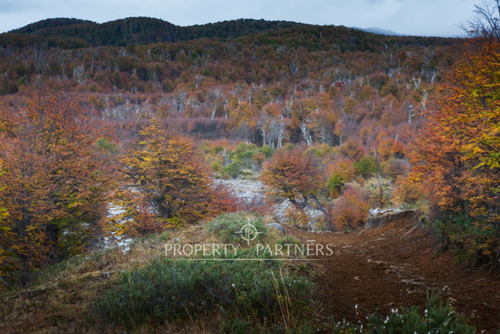 Patagonia, 2.800ha Excepcional Estancia Lago Bravo
