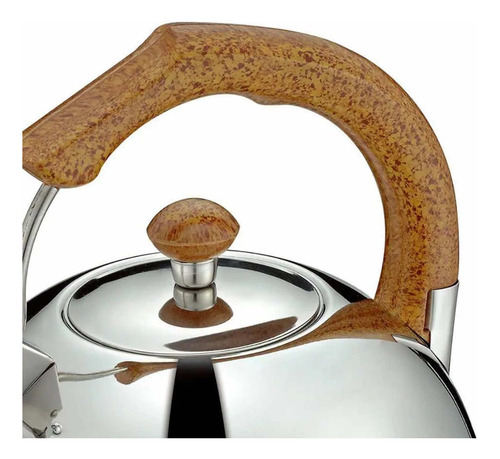 Tetera Silbadora Acero Inoxidable Hervidora Agua 3 L Plateado