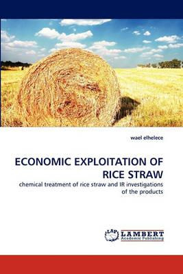 Libro Economic Exploitation Of Rice Straw - Wael Elhelece