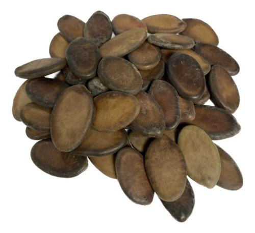 Guapuruvu/Schiolobium Parahyba - 50 gr/ 25 semillas