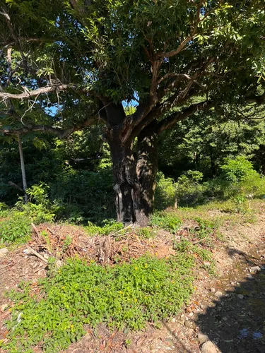 Terreno De 3000m2 En Fuentidueño