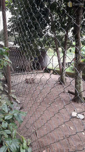 Imagem 16 de 30 de Chácara Com 2 Dorms, Taiaçupeba, Mogi Das Cruzes - R$ 500 Mil, Cod: 2197 - V2197