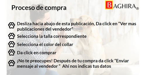 Collar Con Id Piel/acero Inox Razas Medianas