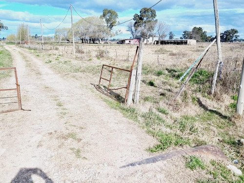 Imagen 21 de 24 de Venta De Campo De 2 Hectáreas En Guernica