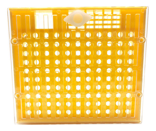 Caja De Cría De Reina, Jaula Para Poner Huevos, Caja De