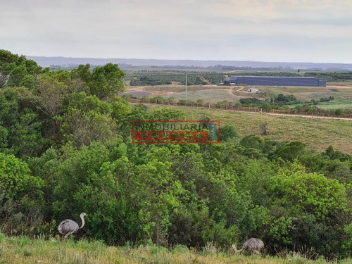 Imagen 28 de 30 de Venta Campo Ubicado En Garzón
