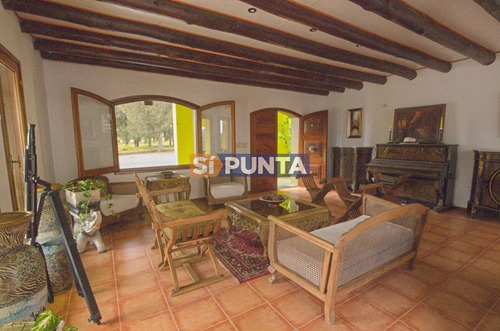 Imagen 3 de 30 de Chacra En Venta - Camino Cerro Eguzquiza