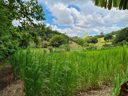 Lindo Sítio À Venda Em Piracaia Com 48400m² De Área - 1642