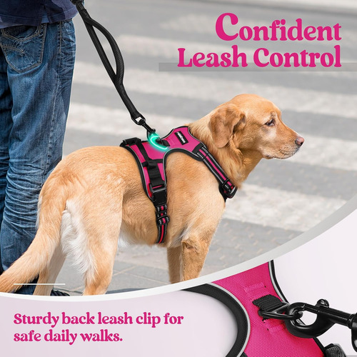 Arnés Para Perros Rabbitgoo No Pull Ajustable Con 2 Clips L