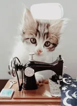 Comprar Service Y Reparación De Máquinas De Coser - Malvín Alto 