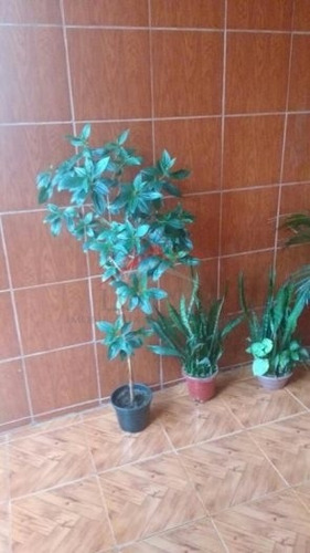Imagem 12 de 20 de Casa Térrea Para Venda - Jardim São Jorge - Id 1031 - 1031