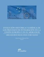 Evolución Histórica Y Jurídica De Los Procesos De Integraci