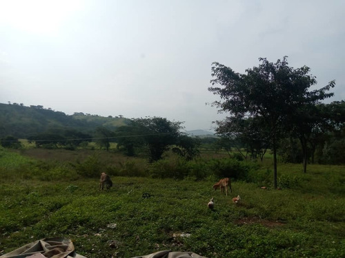 Imagen 6 de 28 de Finca En Venta En El Estado Guarico