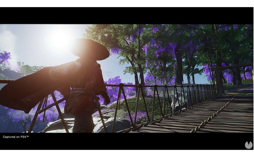 Imagen 6 de 8 de Ghost Of Tsushima Directors Cut Formato Físico Ps4 Original