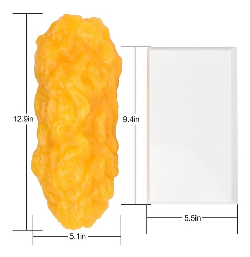Modelo Auténtico De Grasa Corporal Humana- 5 Libras