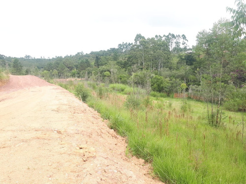 Imagem 15 de 29 de 06-terreno A Venda Com 1000m No Interior !!!