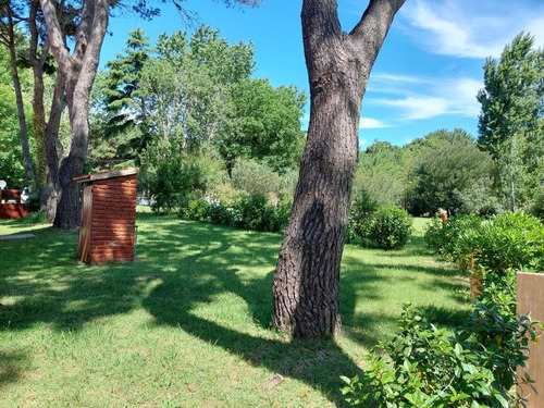 Imagen 7 de 24 de Chalet Valeria Del Mar Parque 800 M2 3 Ambs Cable Wifi.