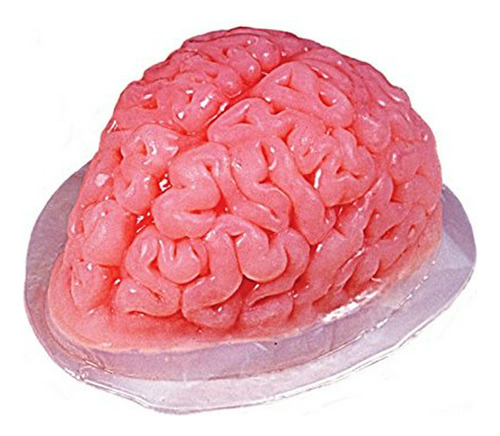 Molde Para Gelatina Cerebral.