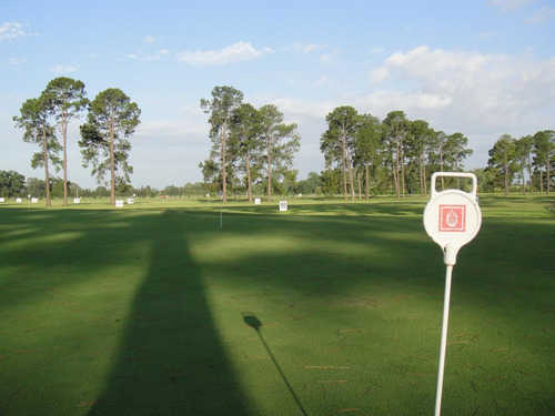 Imagen 7 de 12 de Terreno - Los Pinares C. Club