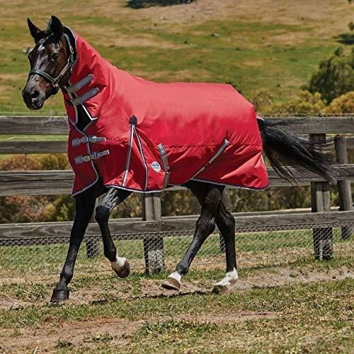 Imagen 2 de 4 de Manta Impermeable Para Caballo - Talla 81 Roja.