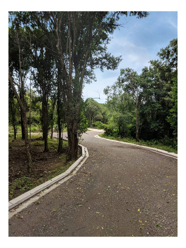 Imagen 2 de 10 de Lote En Lomas Del Cigarral - Plano De 580 M2