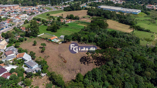 Imagem 10 de 30 de Terreno À Venda, 17538 M² Por R$ 3.500.000,00 - Guatupê - São José Dos Pinhais/pr - Te0074