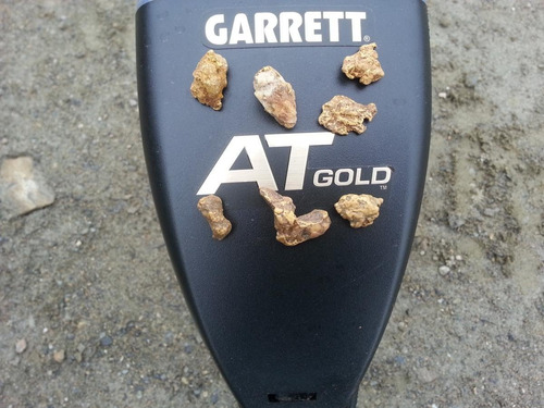 Detector Metales Pepitas De Oro At Gold Garrett