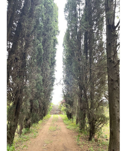 Casa En Alquiler Con Amplio Terreno Baigorria