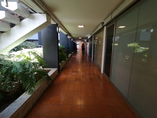 Local Comercial 61 Mt2 Plaza Ñunoa