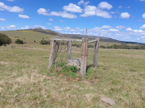 Imagen 5 de 10 de 353 Hectáreas En Lavalleja, Con Casa, Galpón Y Arroyo