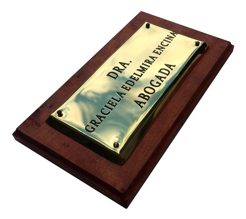 Placa De Bronce Grabada Profesional Para Estudios, 15x13cm