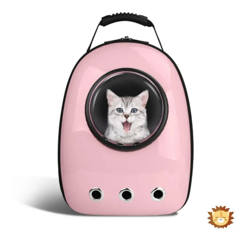 Pecute Transportin Gato Perro Bolsa de Transporte Portátil y Transpirable  para Mascotas, Bolso Transportin para Gatos