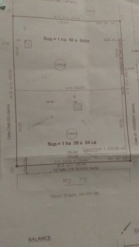 Imagen 7 de 7 de Lote En Venta Garin Excelente Oportunidad