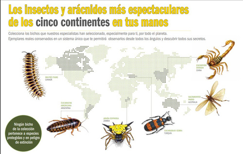 Revista Bichos # 18 Abeja Exótica - India Y Fascículo (Usado)