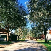 Imagen 4 de 5 de Loteo En Venta Ayres De Los Arroyos- Lujan